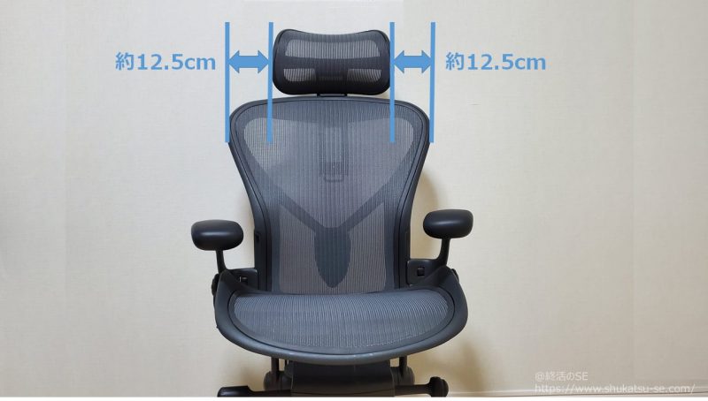 Atlas Headrest アトラス ヘッドレスト アーロンチェア